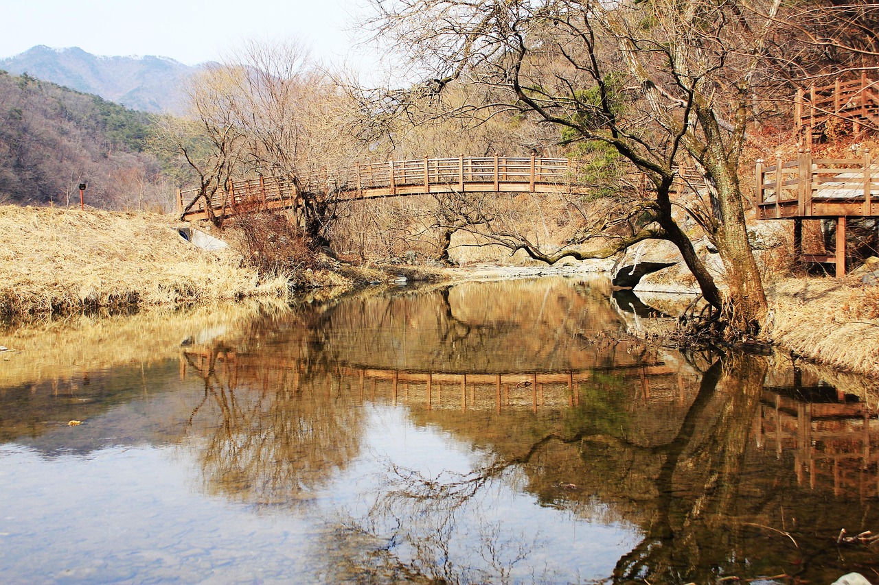 포스코 퓨처 엠 주식