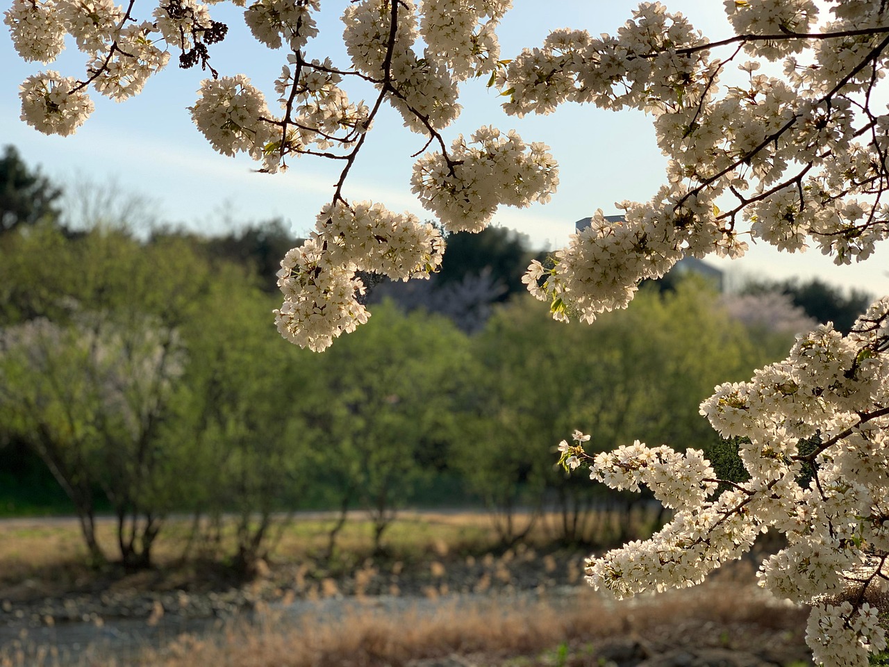 한국 중국 환율