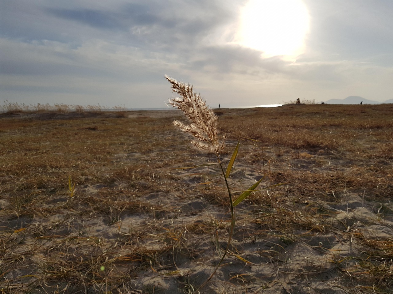 새마을 금고 금리 비교