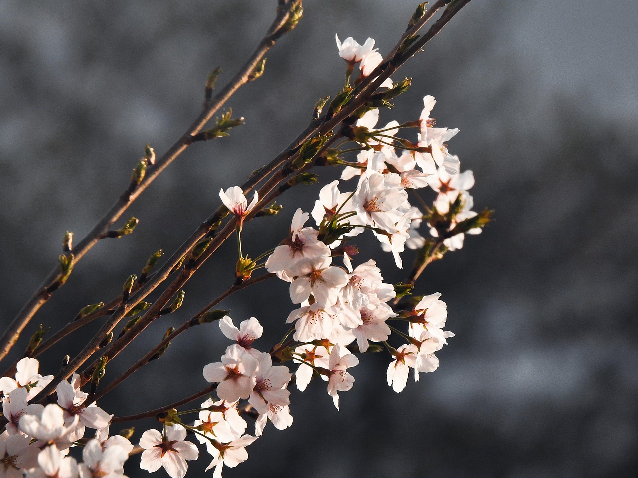 한국 중국 환율