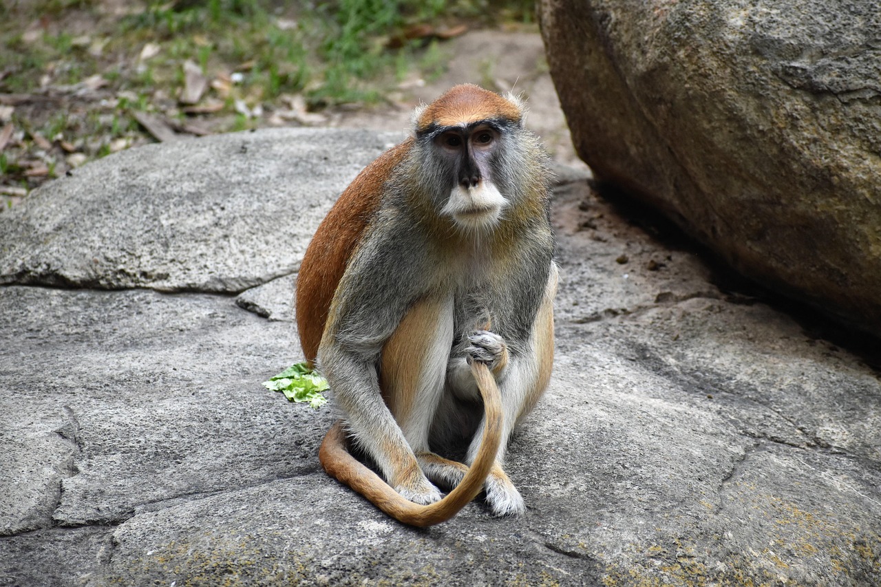 2024 신규 상장 주식