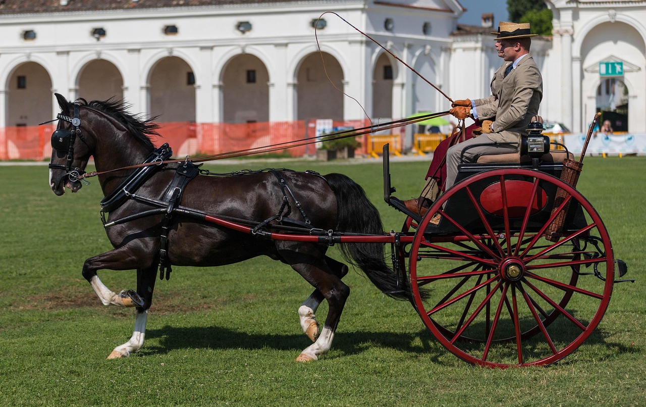 이더 리움 현물 etf